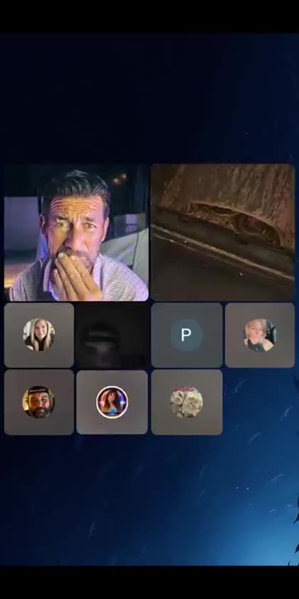 The British Snake Reveal